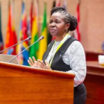 JESSIE MAJOME’S REMOVAL EXPOSES ZANU PF’S FEAR OF THE CONSTITUTION